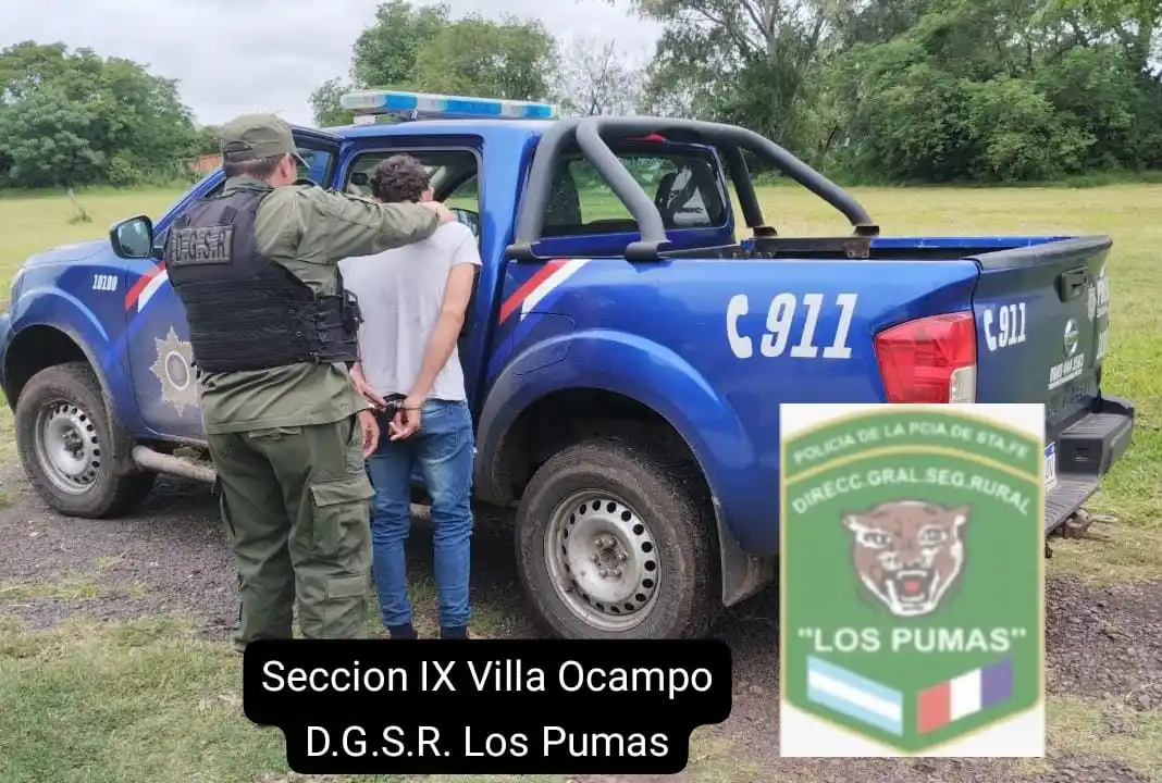 ternero pampa robad - 1