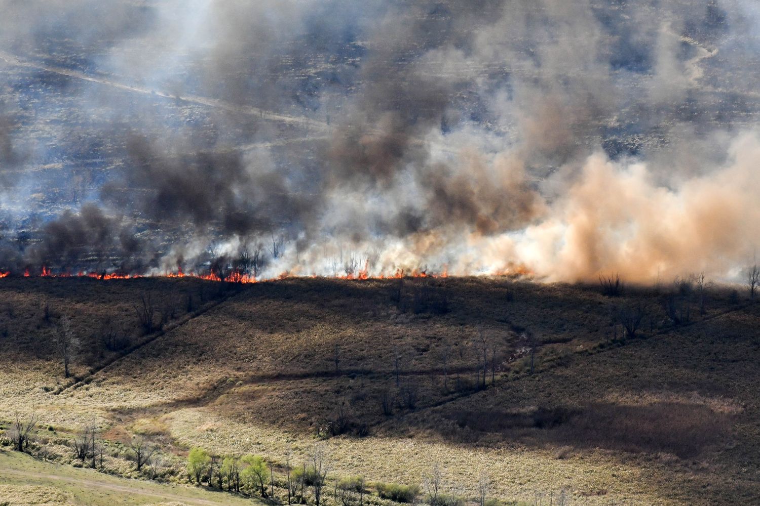 El Gobierno se pronunció ante los incendios forestales.