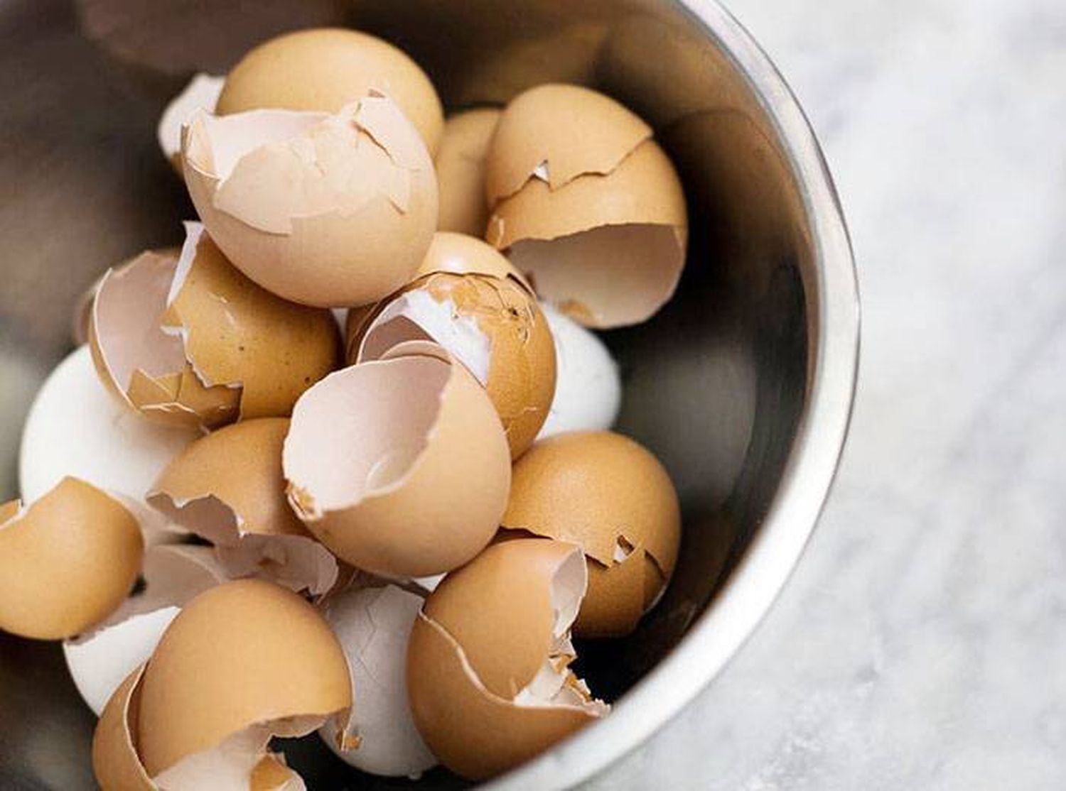 Dos alumnos crearon plástico biodegradable  a partir de cáscaras de huevos