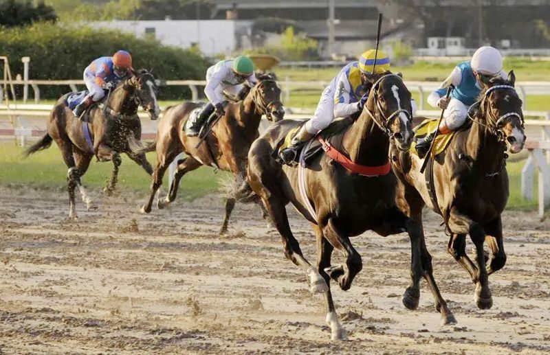 Viernes 25: Actividad Hipódromo de Palermo