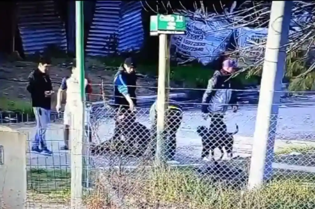 Atraparon a un ladrón