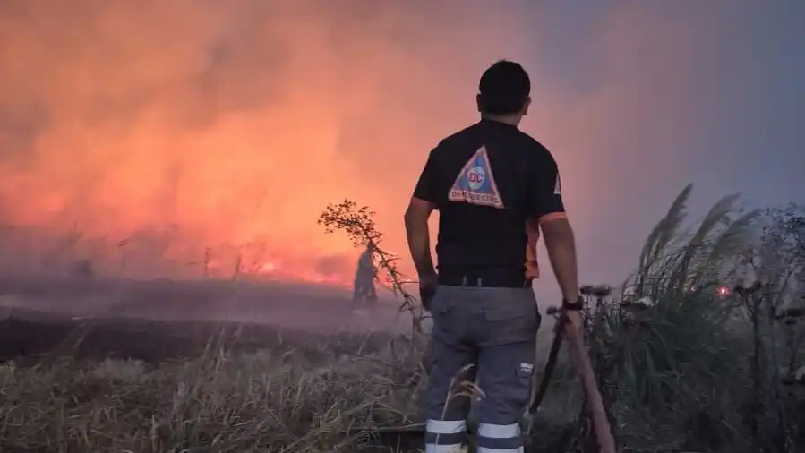 Un incendio consumió más de 200 hectáreas en El Marquesado