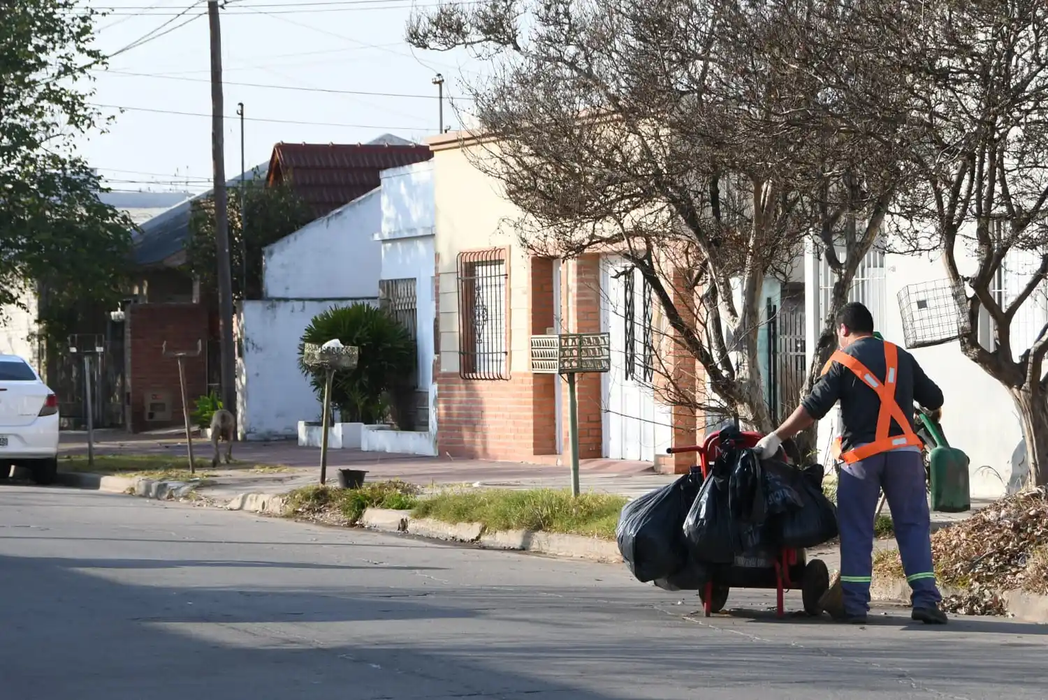 Carnaval: así funcionarán los servicios municipales en San Francisco