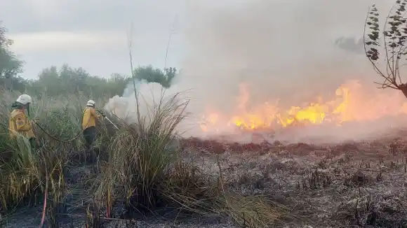 Un incendio de grandes dimensiones consumió varias hectáreas en el INTA Concordia