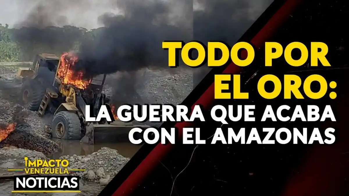 ¡TODO POR EL ORO! La guerra que acaba con el Amazonas – VIDEO