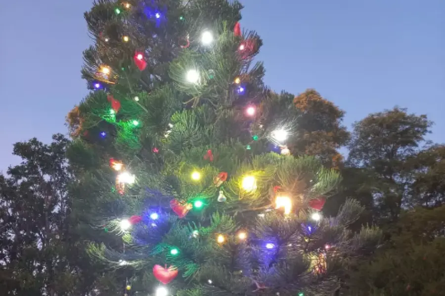 El barrio Sarmiento demuestra su espíritu navideño con su propio árbol de Navidad
