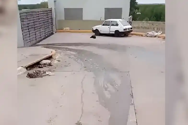 pasaje fera líquidos cloacales