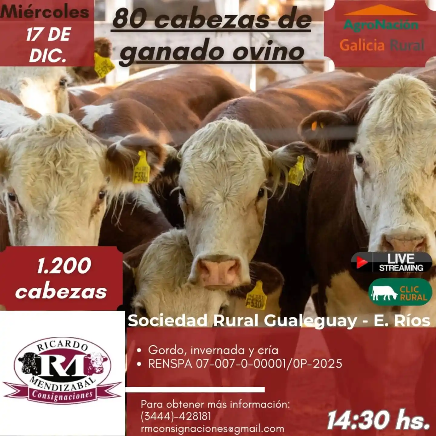 Gran Remate de Mendizábal en Gualeguay y repaso del último encuentro ganadero