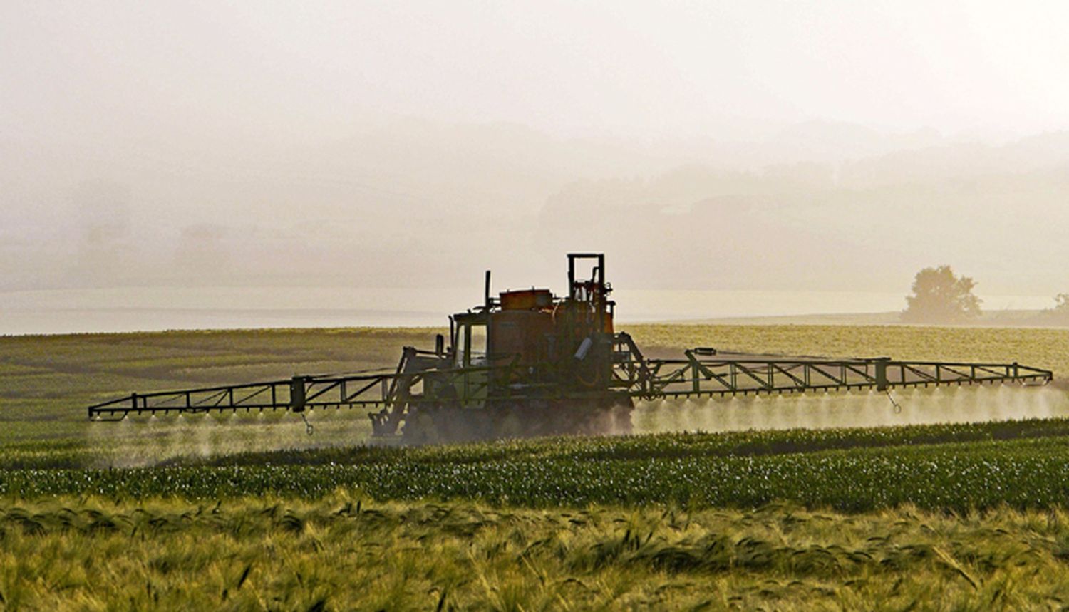 Misiones asiste a un nuevo embate en contra de la producción agropecuaria