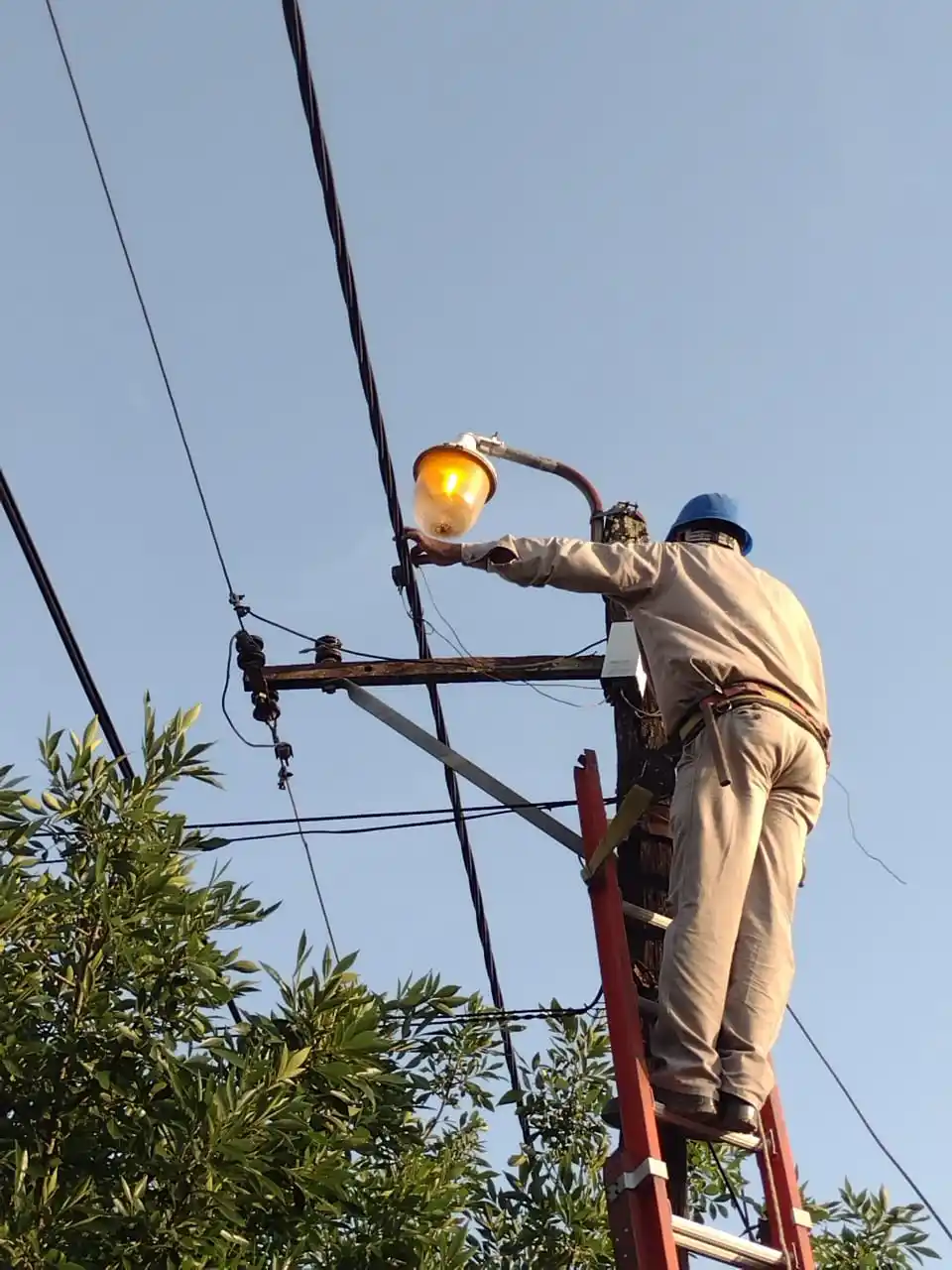 Continúa el mantenimiento de la red de alumbrado público en toda la ciudad