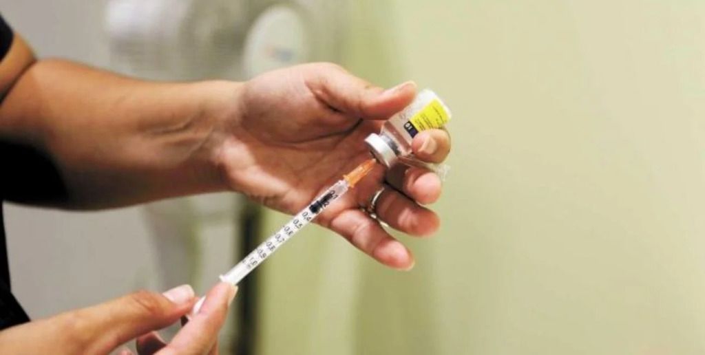 La enfermedad es transmitida por el mosquito Aedes aegypti