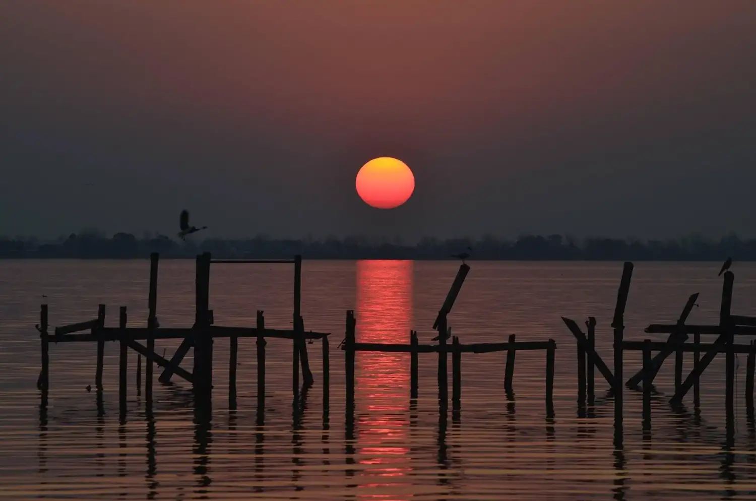 laguna chascomus