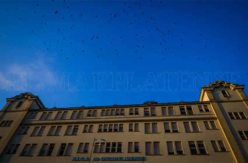 Murió el delincuente que había sido baleado al intentar robar en una casa