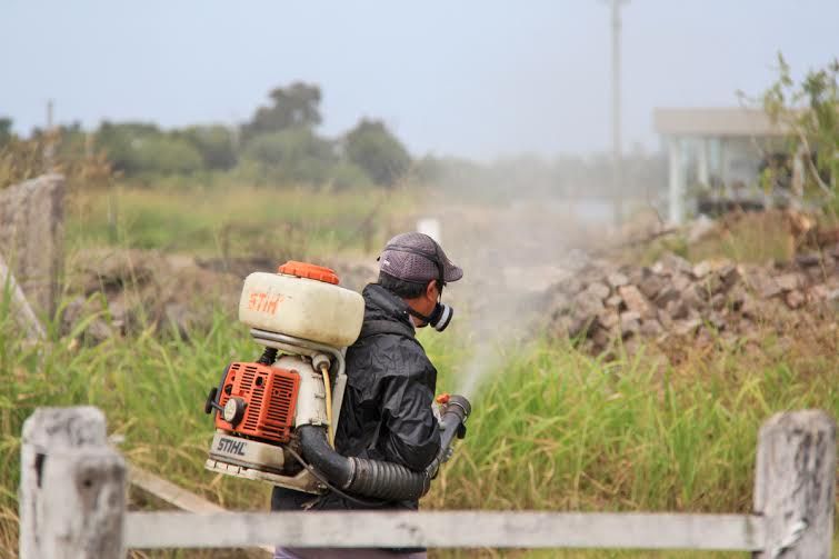 Cronograma de fumigaciones para esta semana