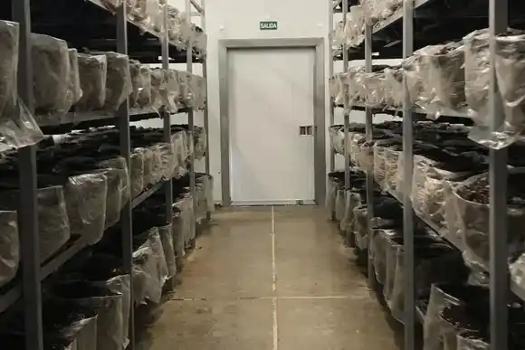 Avanza la idea crear un Parque Logístico Industrial en Colonia San José