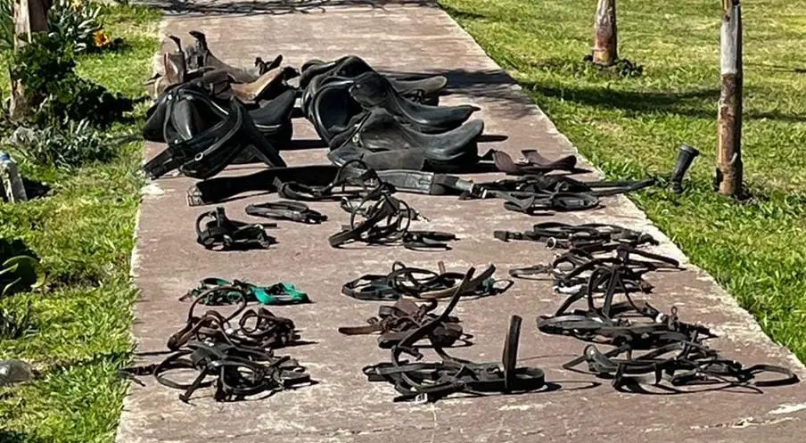 Hallaron en un campo objetos robados en club de equitación