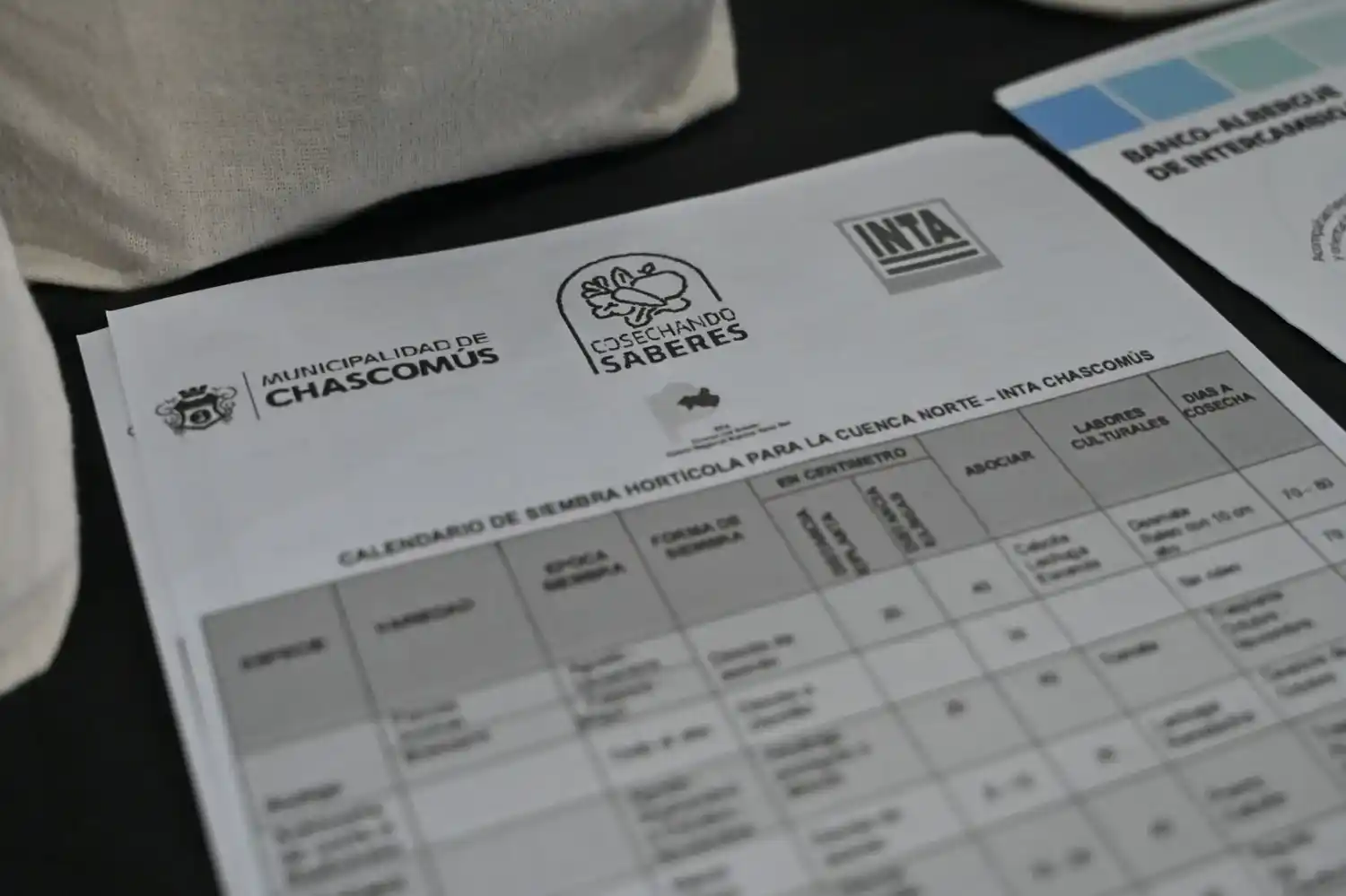 El programa Cosechando Saberes realizará un relevamiento para fortalecer el Banco de Intercambio de Semillas