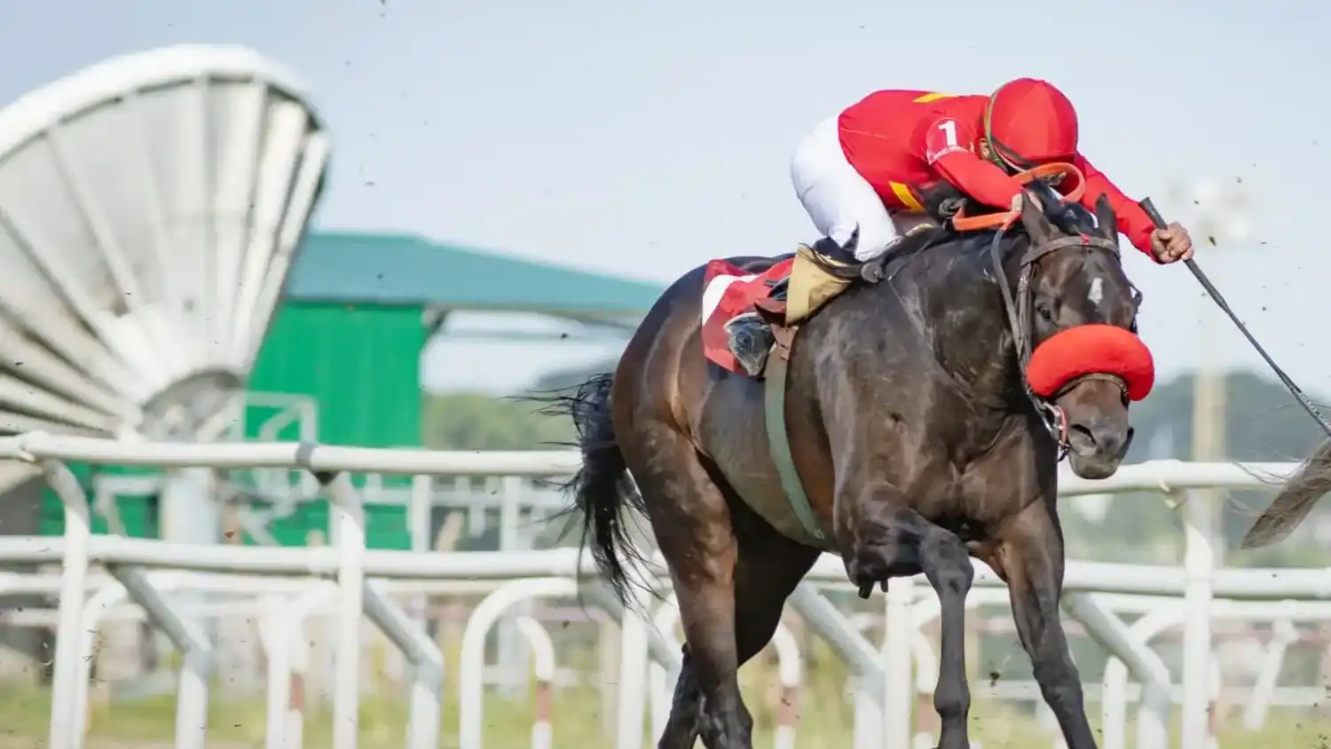 Viejo Varieté va por otro triunfo de jerarquía en el Clásico 9 de Julio (G2), en San Isidro.