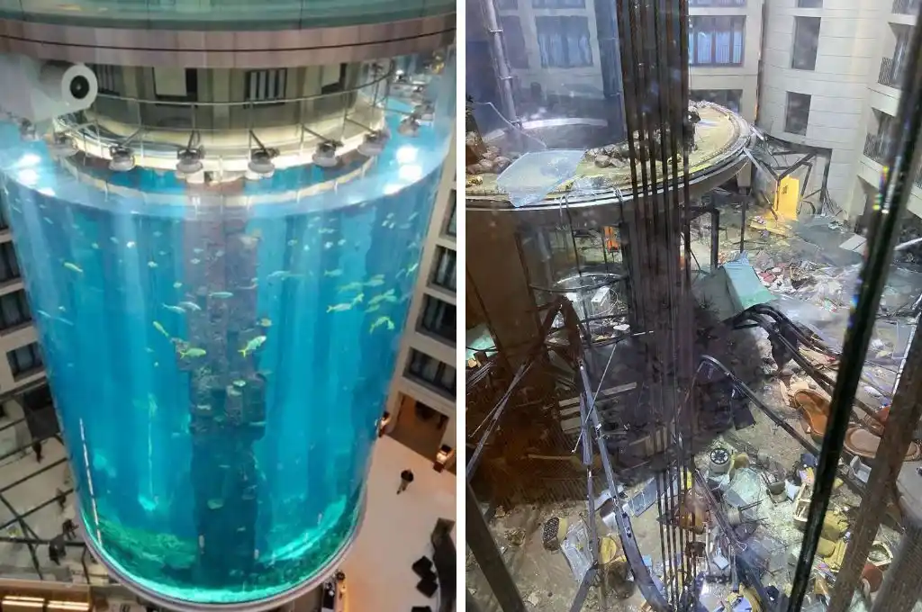 Susto en Berlín: estalló en mil pedazos el acuario cilíndrico más grande del mundo con más de 1500 peces