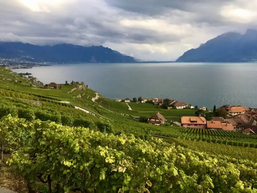 Vouvry se encuentra entre el río Ródano y los Alpes, a 30 minutos de la frontera con Francia, una hora de Italia, y a 15 minutos del lago Leman (foto), rodeado de campos de cultivos, viñas (crecen en terrazas construidas en la montaña) y bosques.