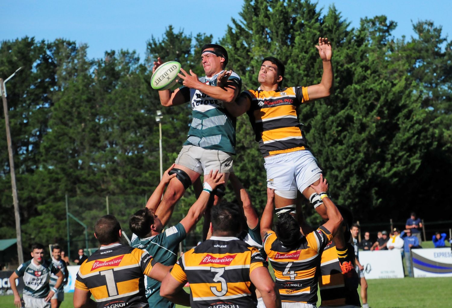 Toda la información del rugby local, en las plataformas de El Eco Multimedios.