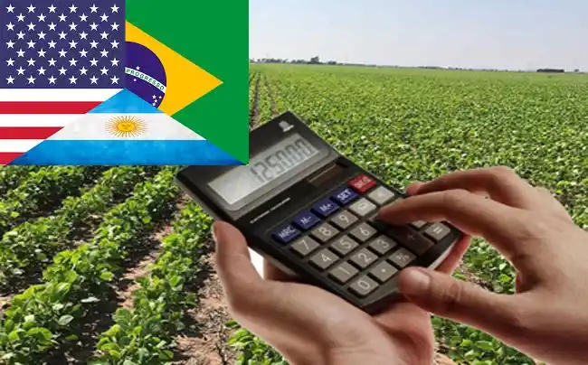 Márgenes comparados Argentina, Brasil y Estados Unidos