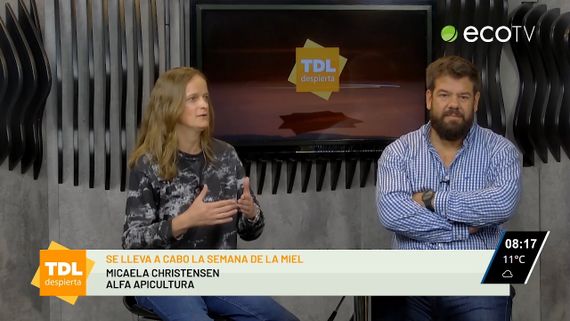 Se lleva a cabo en Tandil la "Semana de la miel" en Tandil Despierta por la 104 1 Tandil FM y ECO TV