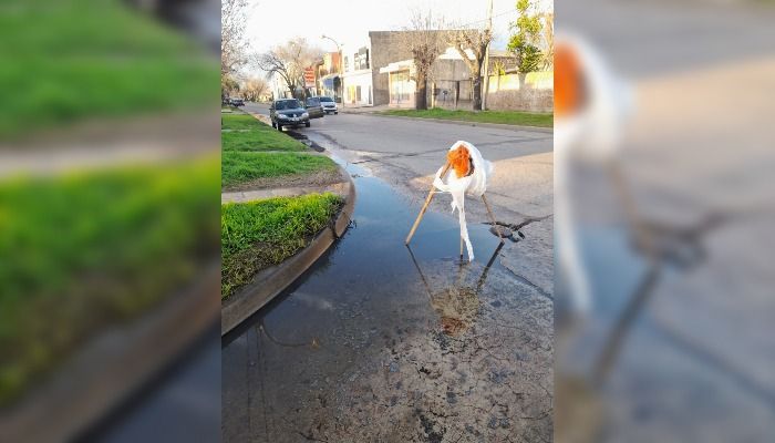 Pérdida de agua en la esquina de Pellegrini e Italia