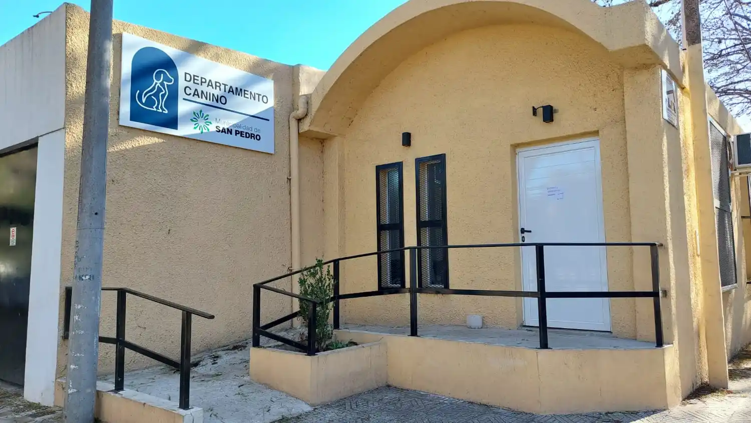 Castraciones gratuitas: la reserva de turnos está abierta en el Departamento Canino