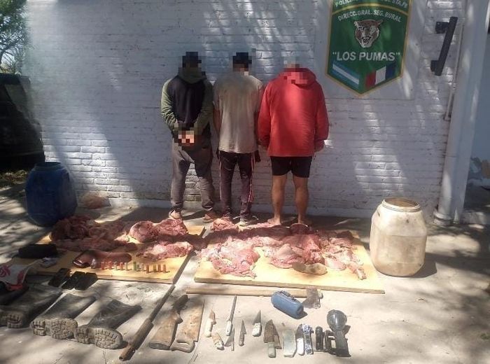 ARMA DE FUEGO, CUCHILLAS Y CORTES de carne DE PRESUNTO FAENAMIENTO ILEGAL coronda los pumas - 2