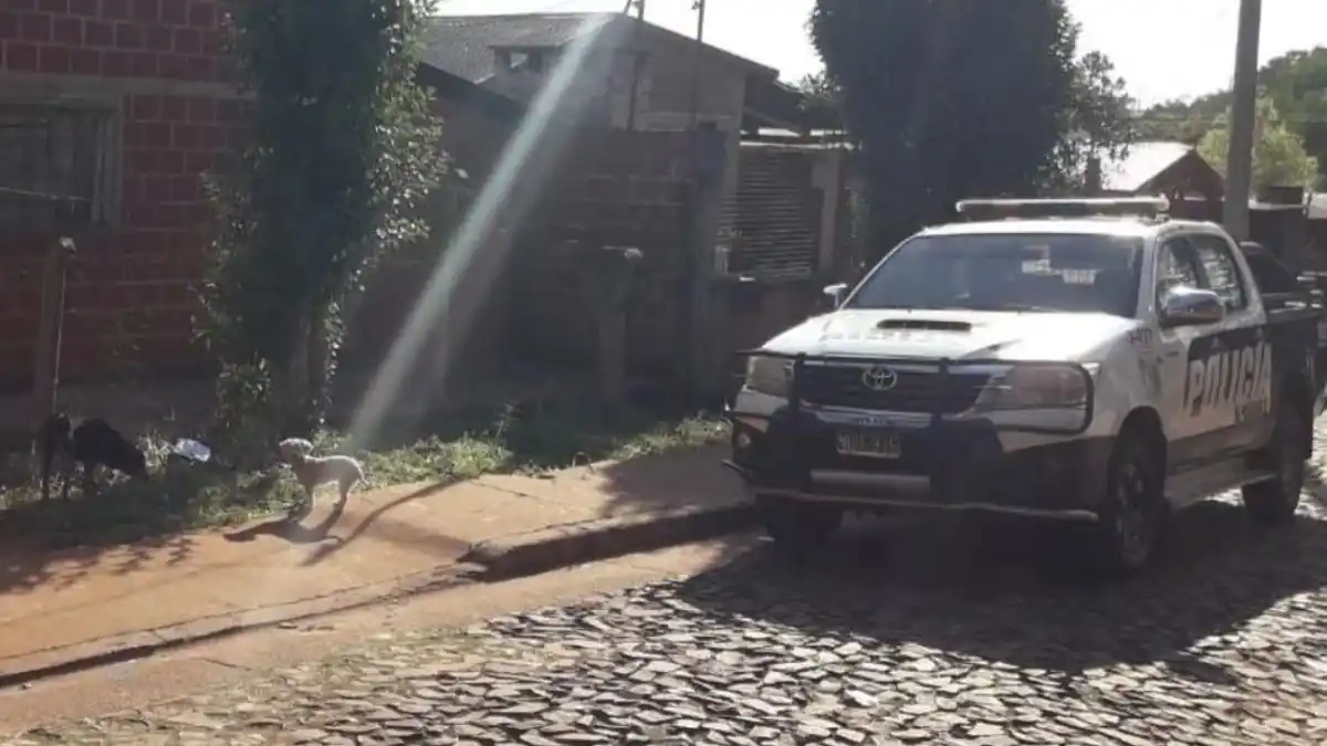 Tragedia en Misiones: un chico de 12 años murió de un escopetazo en el pecho