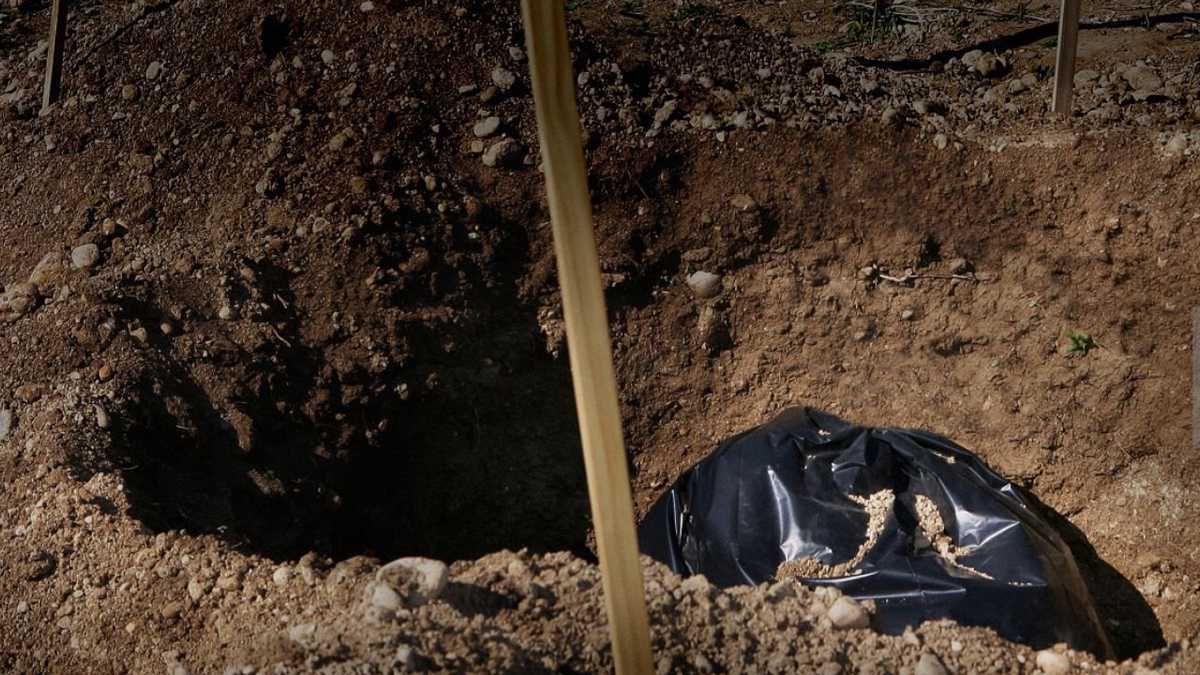 CONOCE, el «modus operandi» de la banda “Los Maracuchos” conformada por venezolanos