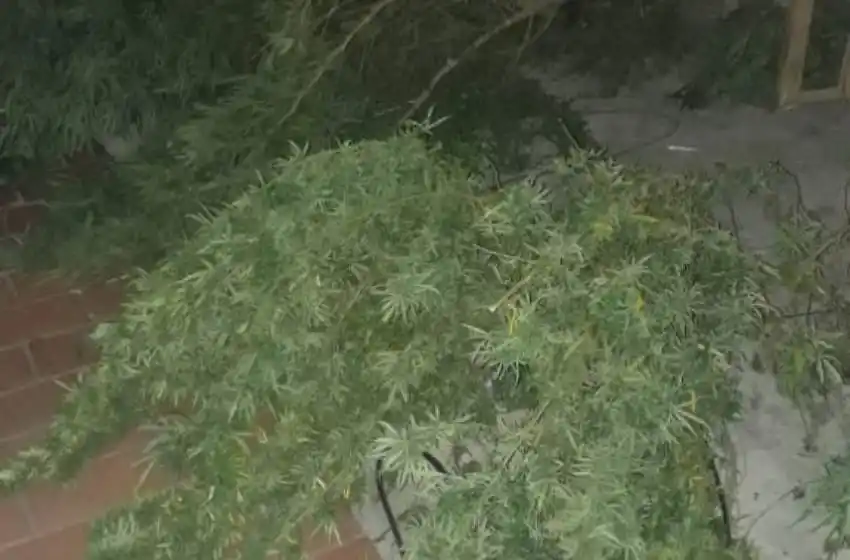 Tiros en la vía pública, persecución por los techos y secuestro de marihuana: detuvieron a un joven en zona noroeste