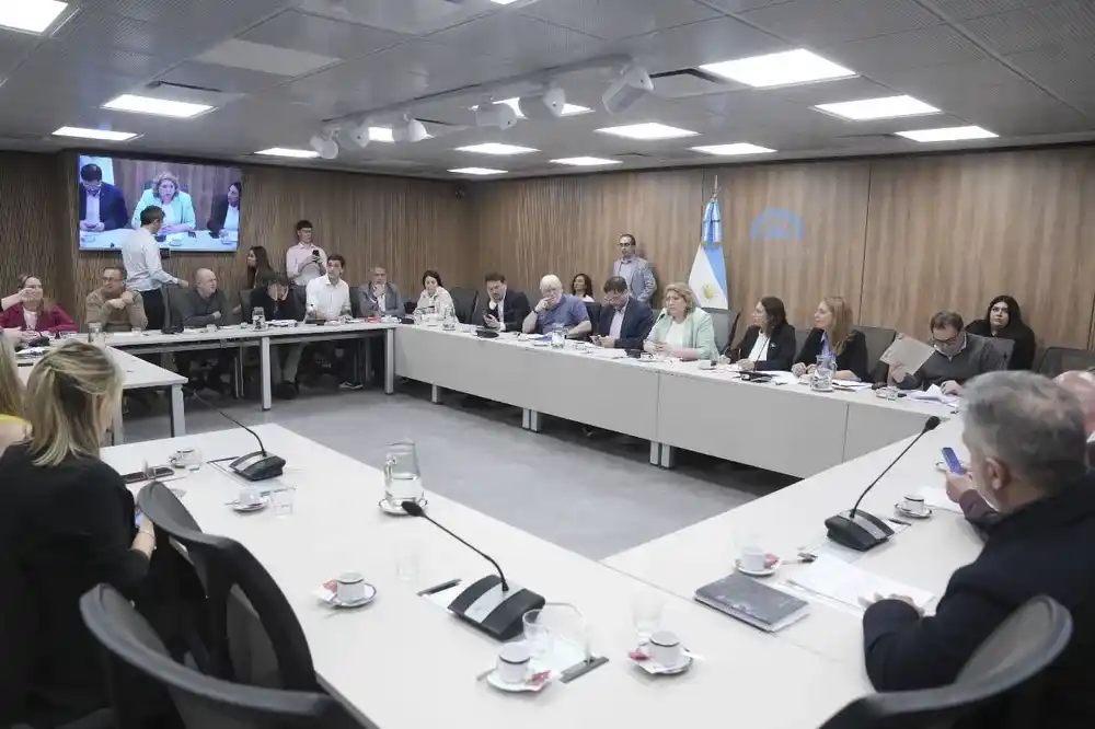 Zona Fría: intendentes bonaerenses expresaron su rechazo en el Congreso