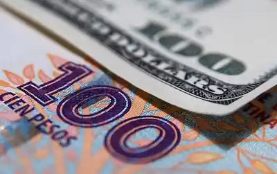 ¿Se podrá llegar a la dolarización endógena?