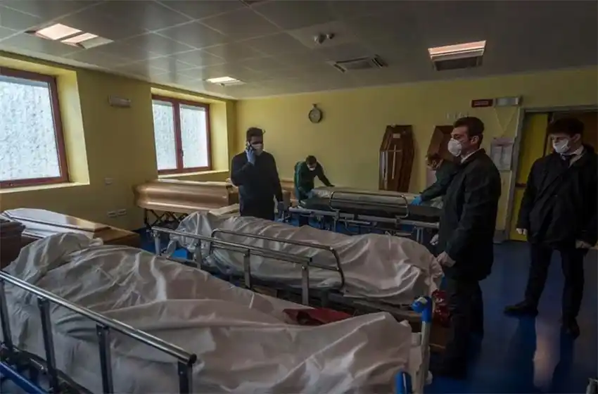 Directora del Malbrán: “Tenemos el manual de instrucciones del Covid-19”