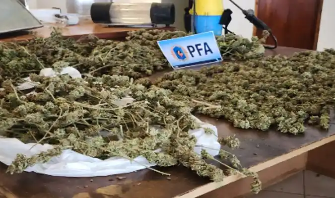 POlicía Federal