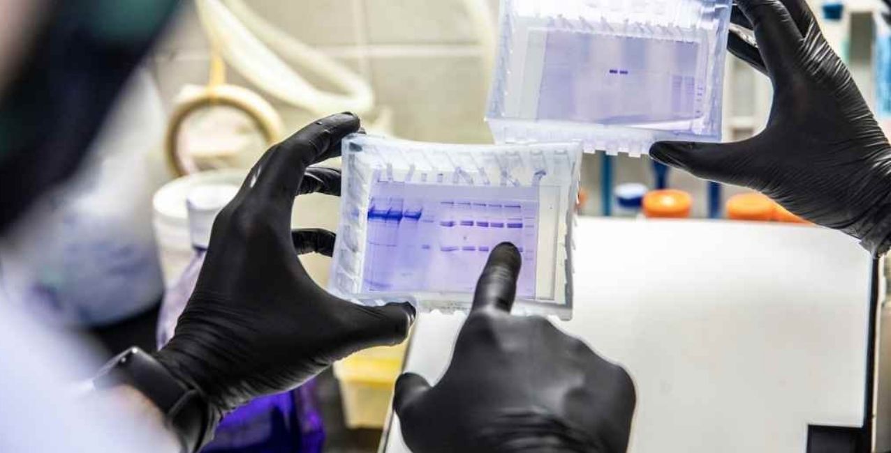La UNL y el CONICET avanzan en el desarrollo de la vacuna contra el Covid-19