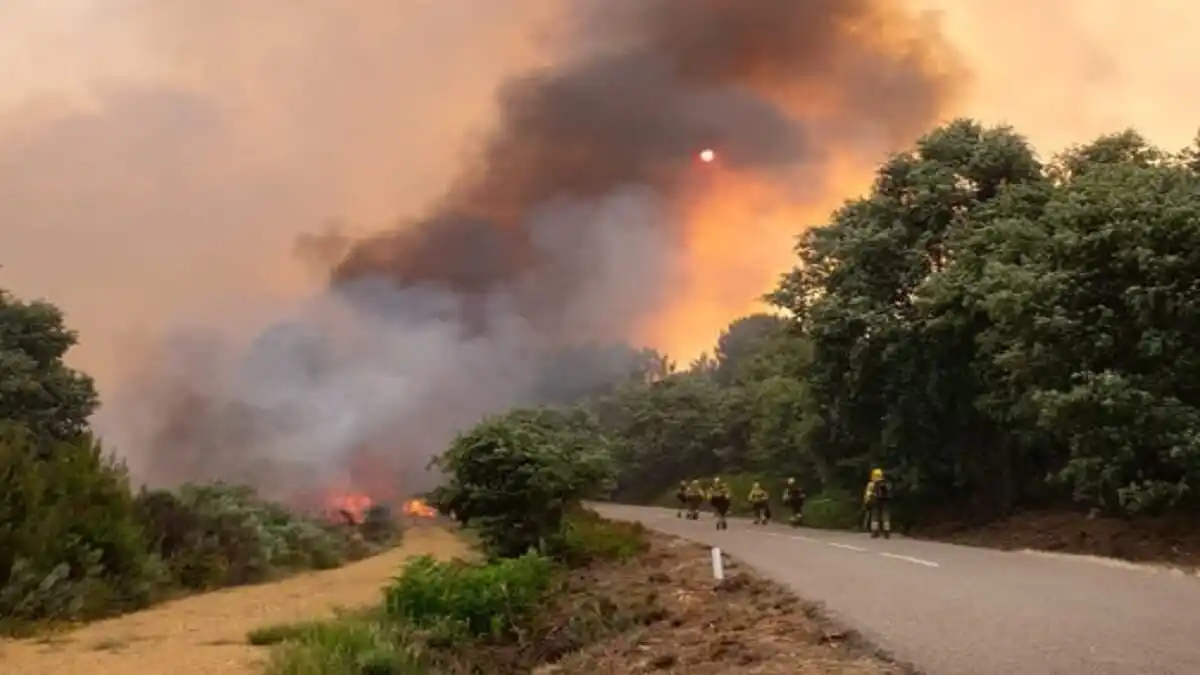 INCENDIOS GANAN TERRENO en España en medio de una ola de calor