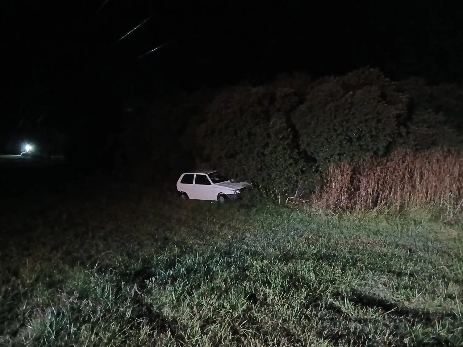 Tragedia en Ruta 88: intentó esquivar un carpincho, sufrió un accidente fatal y es el segundo caso similar en 5 días