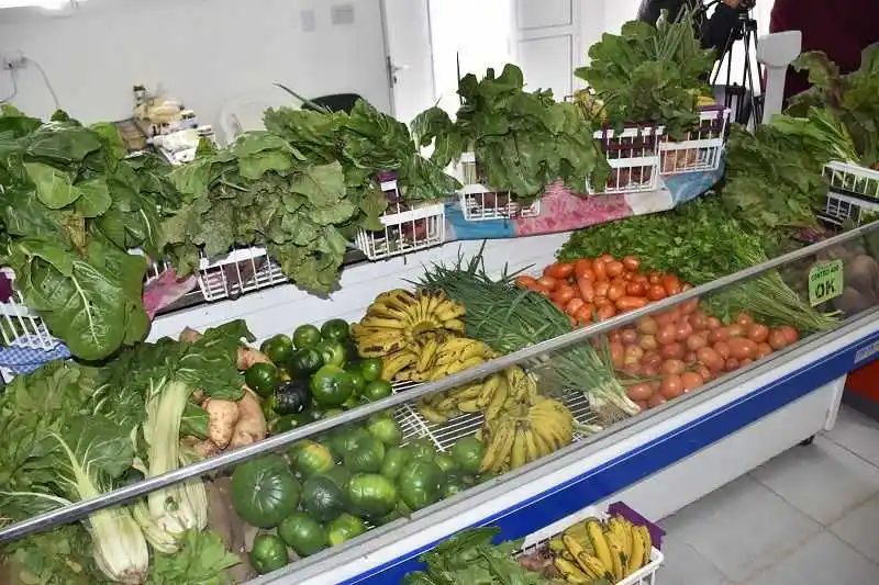 Plan Nutrir: el número de beneficiarios aumentó 
de 17000 a 18500 tras la asunción de Milei