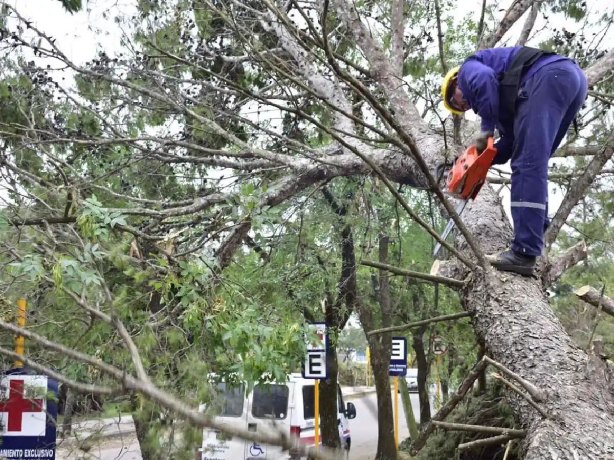 La solidaridad cruzó el Interprovincial: el Ejército trabajó en el Hogar de Ancianos