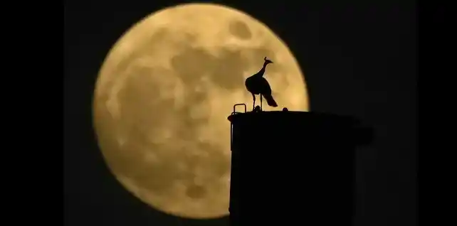 La luna llena representa el cierre del ciclo lunar