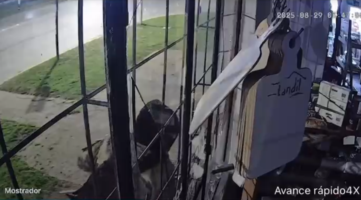 Denunciaron un audaz asalto en un local comercial de la avenida Balbín
