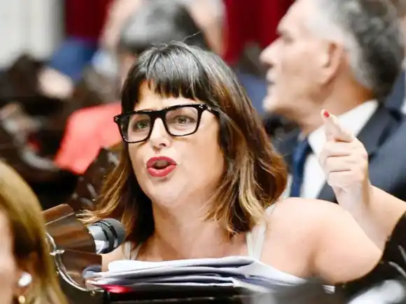 Gaillard: “No somos un peronismo edulcorado que busca fueros y no se sabe cómo votará en el Congreso”