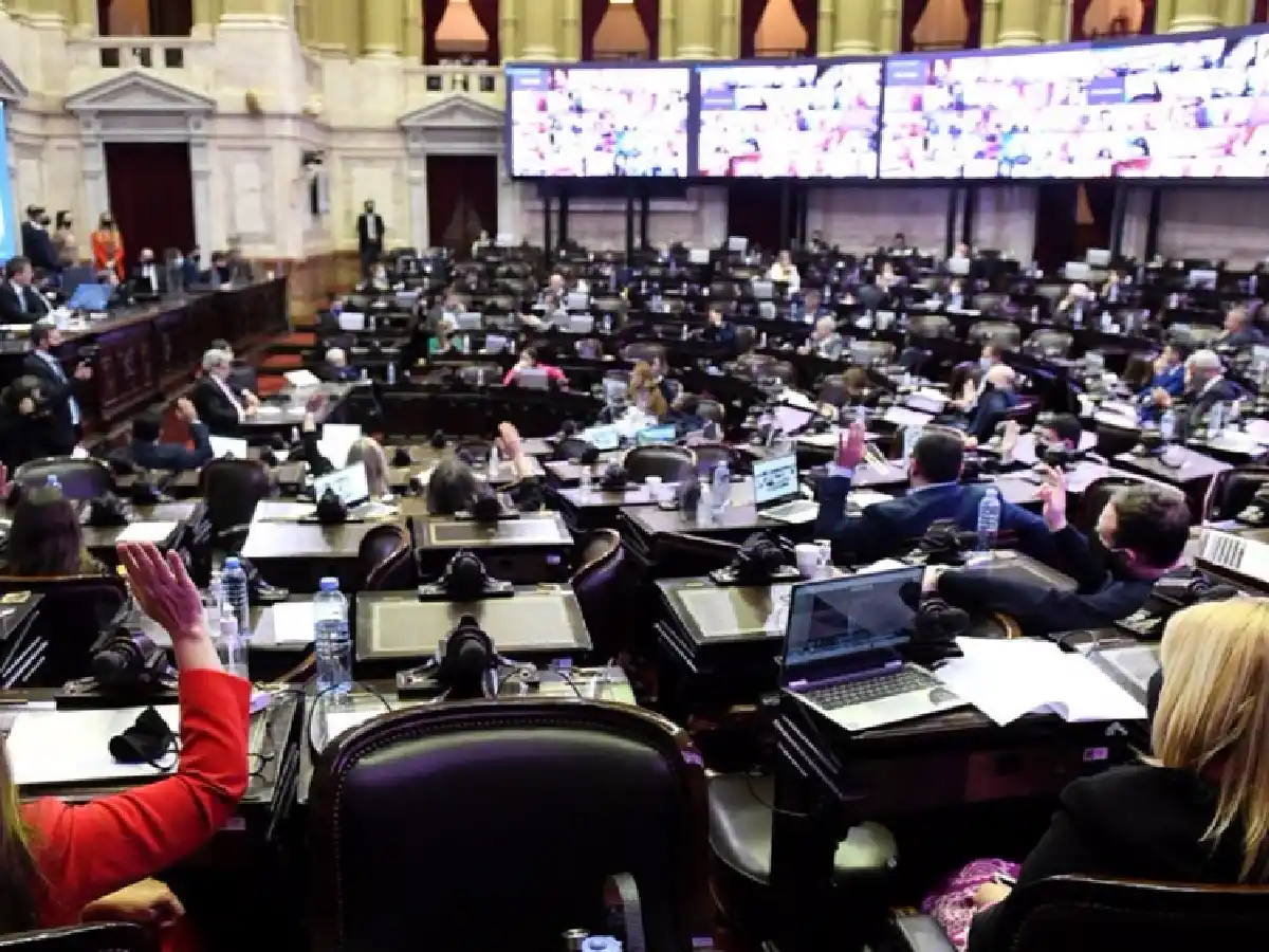 Diputados sancionó la "Ley Yolanda" de formación integral en medio ambiente