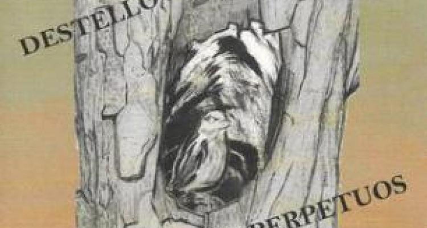 Segunda obra 