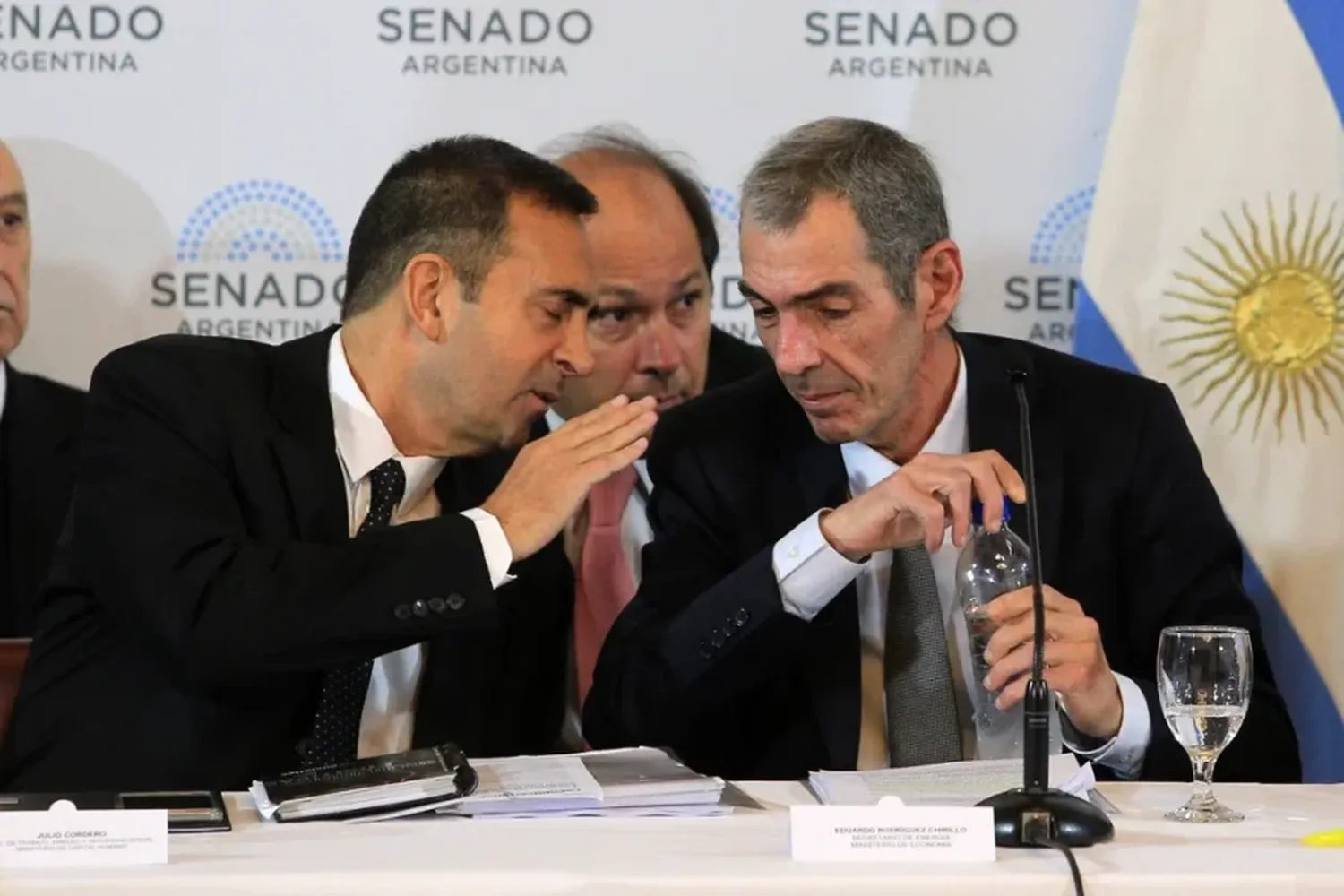 El Senado retoma el tratamiento en comisión de la ley de Bases con decenas de expositores