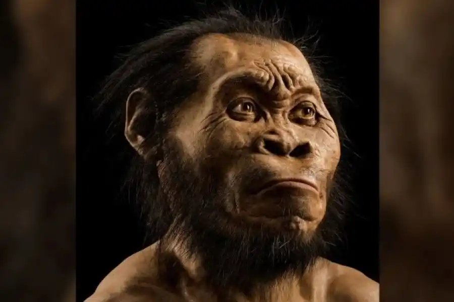 Representación virtual del Homo Naledi