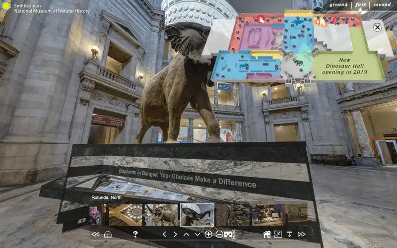 Tour virtual: Museo Smithsoniano de Historia Natural en Nueva York